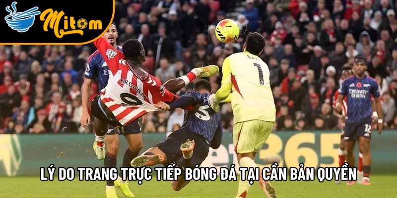 mot so ly do trang truc tiep bong da tai can ban quyen